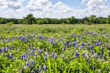 0000 Vilas Rd - Photo 16