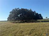 TBD State Highway 123 S - Photo 15