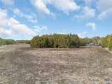3250 County Road 202 - Photo 9