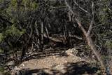 837 Crystal Peak Drive - Photo 20