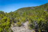 837 Crystal Peak Drive - Photo 5