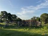 2826 Cattle Guard Road - Photo 6
