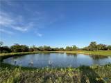 2826 Cattle Guard Road - Photo 7