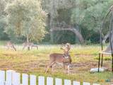 725 Private Road 1581 - Photo 14