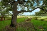 104 Longhorn Road - Photo 4