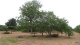 0 Co Rd 426 - Photo 21