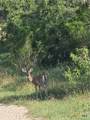 766 Rawhide Road - Photo 1