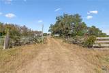 4612 County Road 117 - Photo 32
