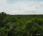 LOT 25 Rain Lily Court - Photo 23