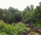 LOT 25 Rain Lily Court - Photo 7