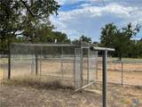 4009 Highway 183 - Photo 5