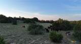 20440 Brooking Road - Photo 12