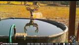 20440 Brooking Road - Photo 19