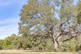 725 Private Road 1581 - Photo 20