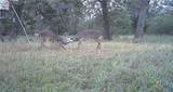 2427 Fm 234 South - Photo 39