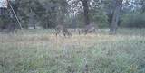 2427 Fm 234 South - Photo 40