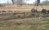 2427 Fm 234 South - Photo 41