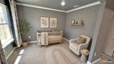 211 Fawn Ridge Drive - Photo 10