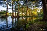2221 Gruene Road - Photo 42