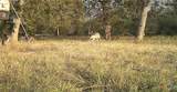 2427 Fm 234 South - Photo 38