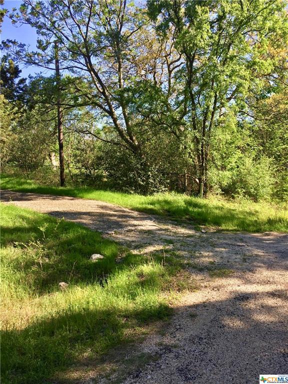 505 Kinsolving Road - Photo 1