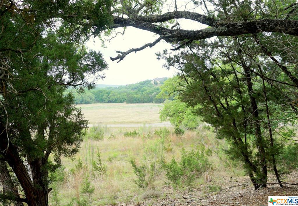 745 Caballo Trail - Photo 1