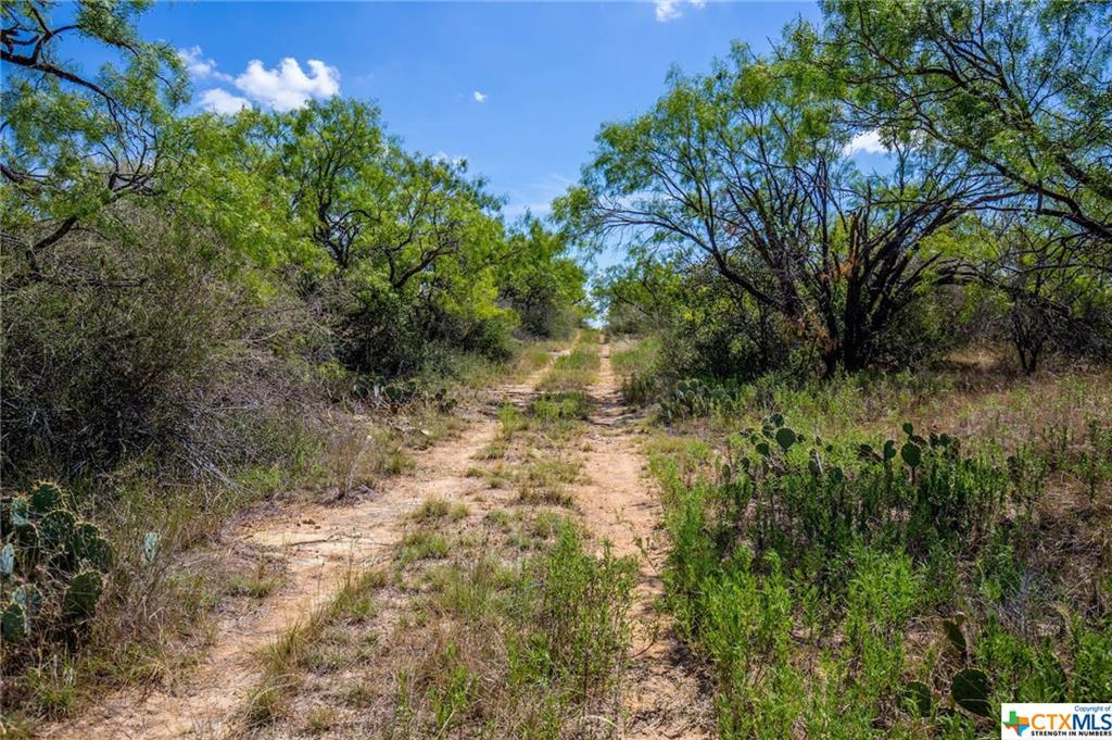 TBD Cr 236 - Photo 1