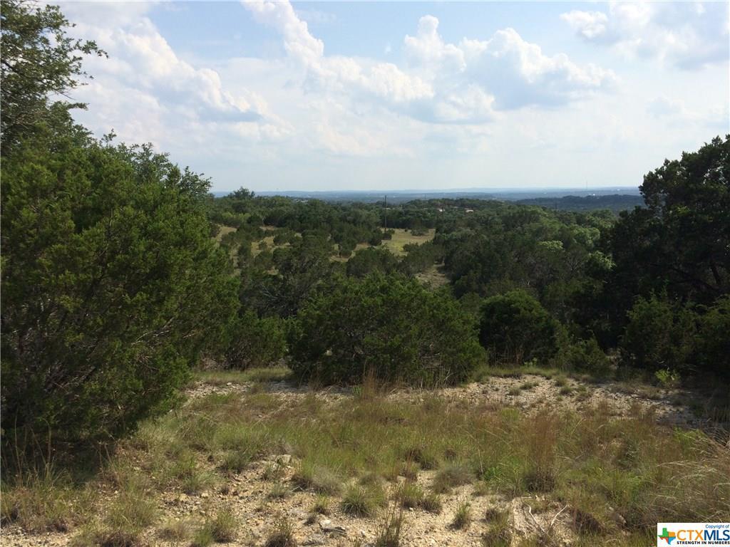 171 Bluebonnet Breeze - Photo 1