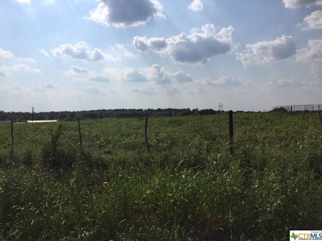 000 Blue Cut Rd - Photo 1