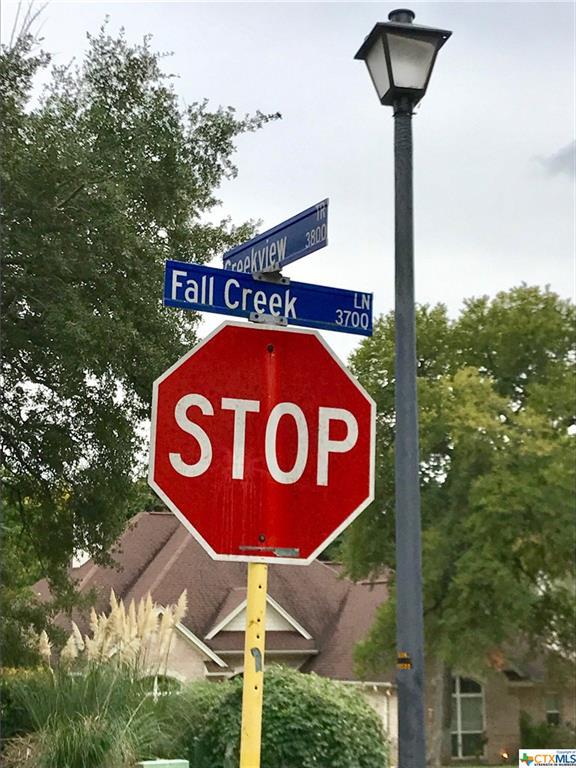 3702 Fall Creek - Photo 1
