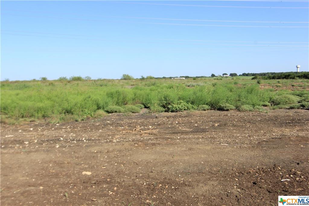 Lot 4 Stone Russell Drive - Photo 1