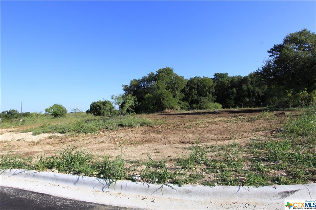 Lot 9 Ambrose Drive - Photo 1
