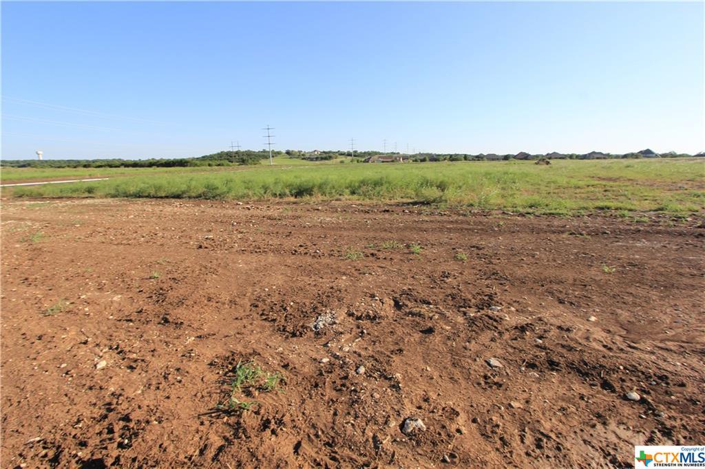 Lot 13 Stone Russell Drive - Photo 1