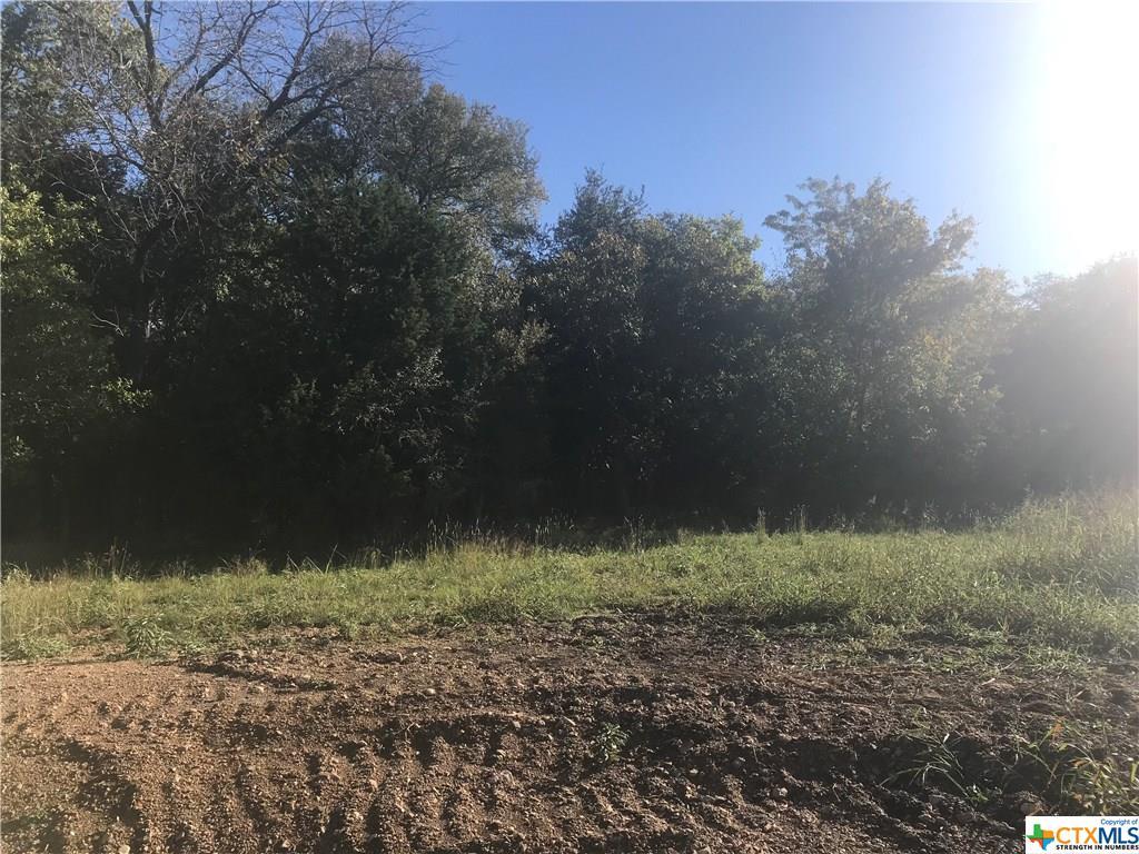 Lot 8 Ferguson Mill Rd. - Photo 1