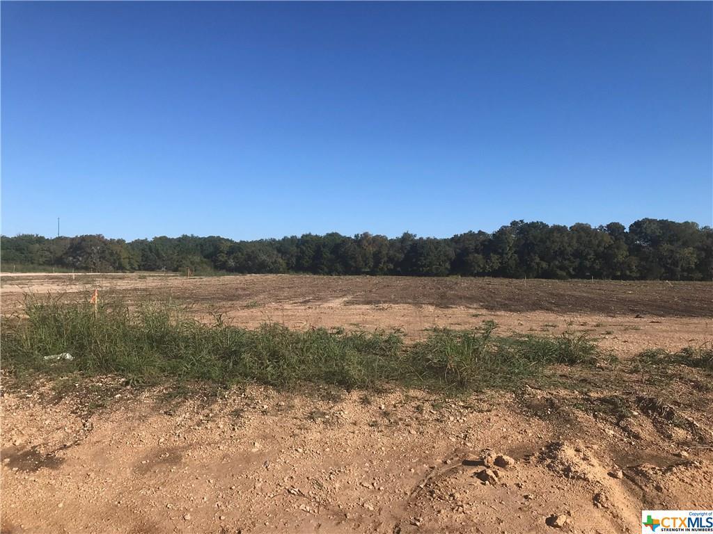 Lot 3 Ferguson Mill Rd. - Photo 1