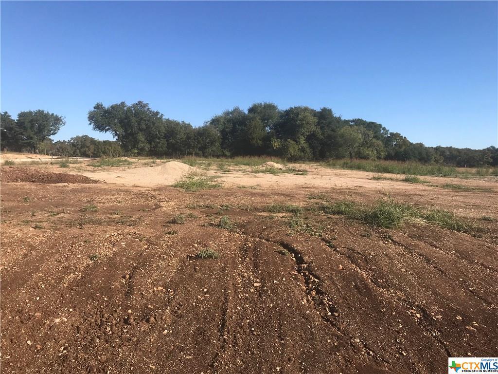 Lot 20 Ferguson Mill Rd. - Photo 1
