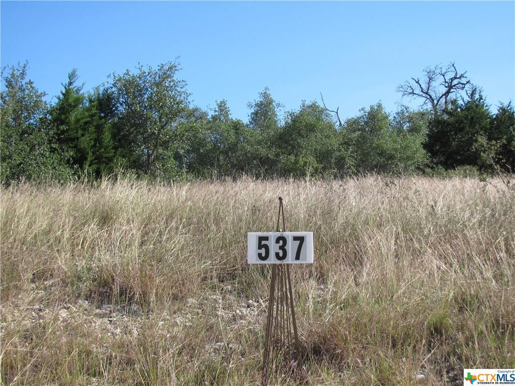 537 Cantera Ridge - Photo 1