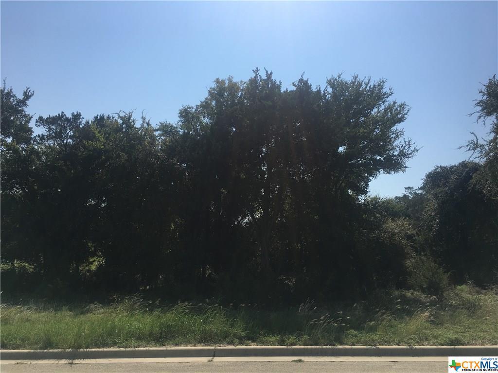 3904 Del Rey - Photo 1