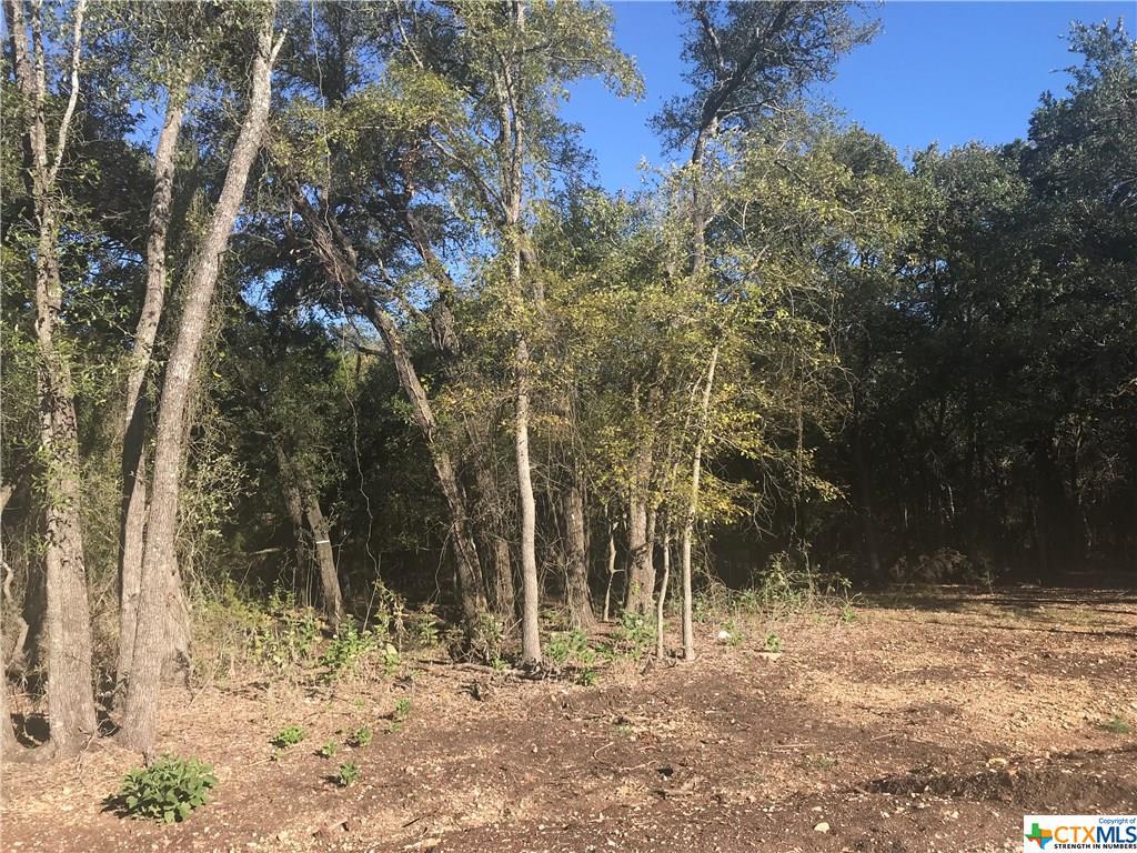 Lot 10 T.H. Jones Mill Way - Photo 1