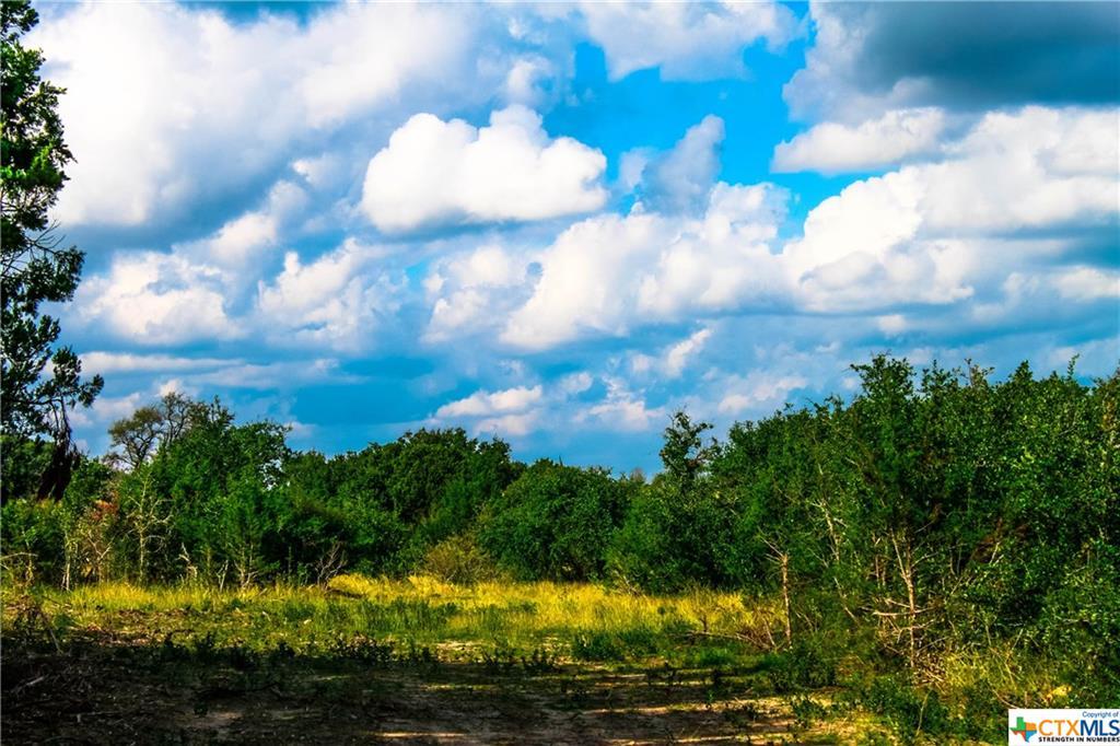Tract 40B Boushka Drive - Photo 1