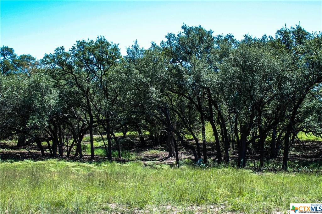 Tract 48 Judge's Rd - Photo 1