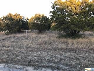 1101 & 1131 Crossbow - Photo 1