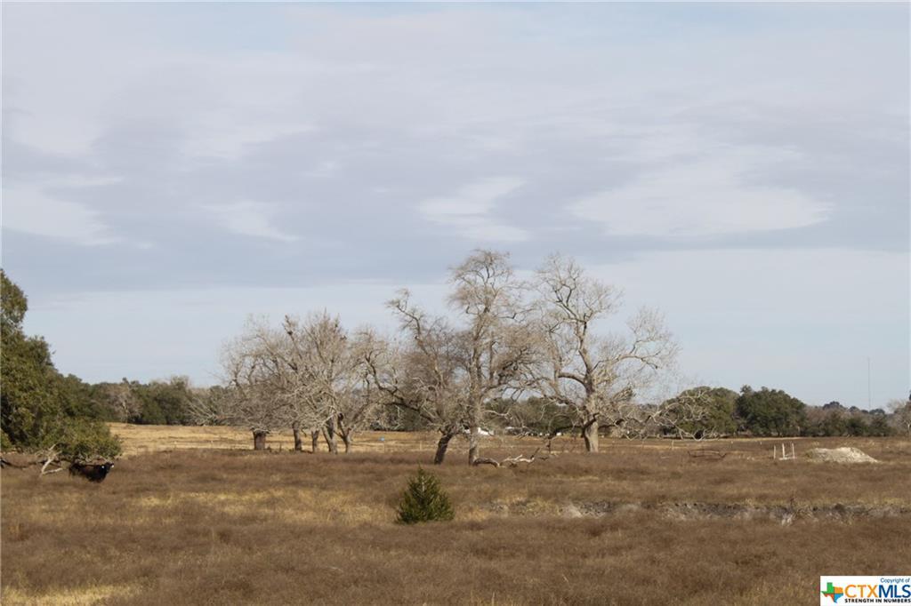1747 Old Hallettsville Road - Photo 1