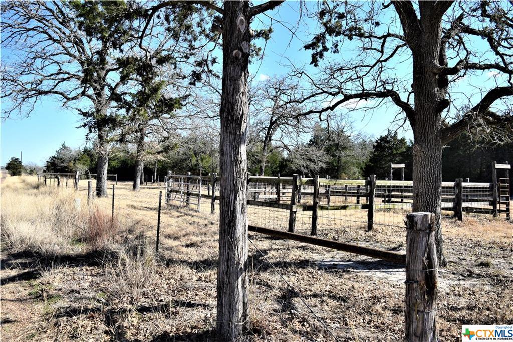 5414 Old Lockhart Rd (Tract 4) - Photo 1