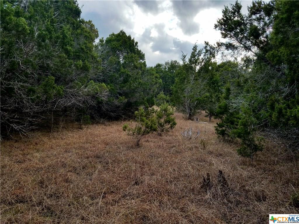 1033 Moonlight Drive - Photo 1