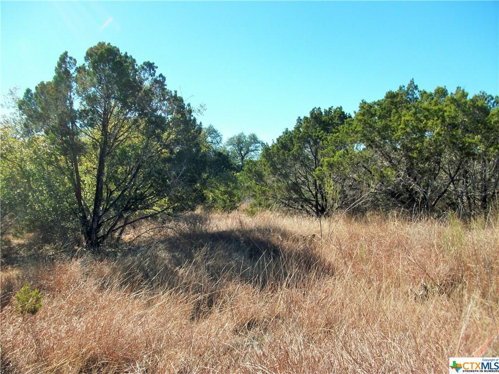 441 Cimarron - Photo 1