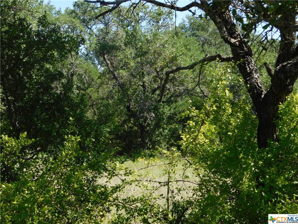 unassigned track 11 Tootsie Trail - Photo 1