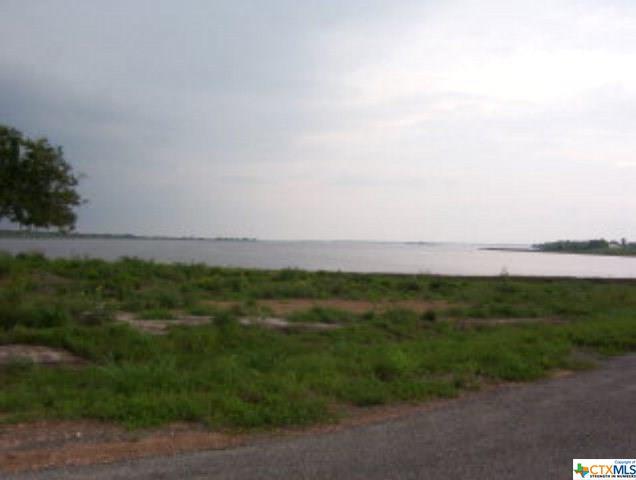 31 Blue Heron - Photo 1