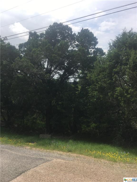 16023 Salado - Photo 1