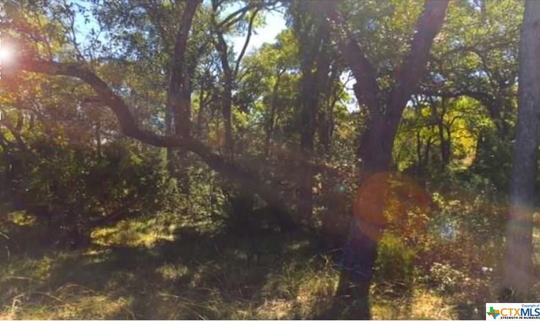 1511 Ephraim Mcclane Drive - Photo 1